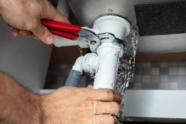 Best Water damage mitigation services  in Renova, MS