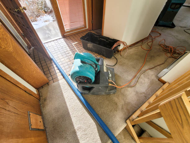 Best 24-hour water damage restoration  in Renova, MS