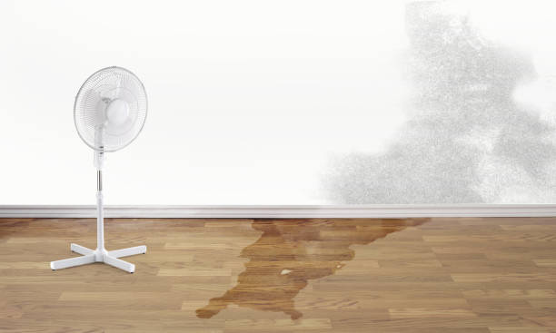 Best Fire Damage Restoration  in Renova, MS